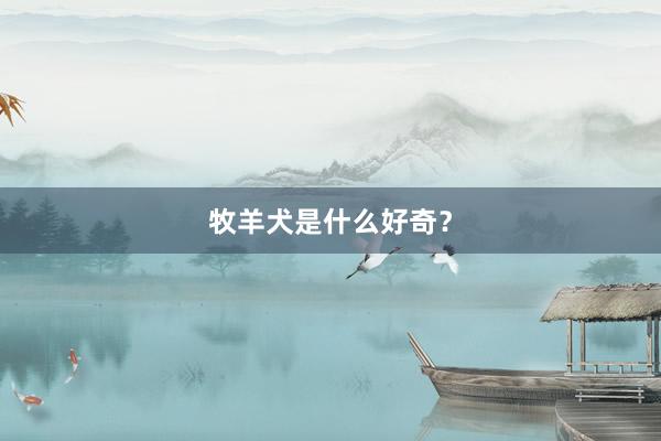 牧羊犬是什么好奇？