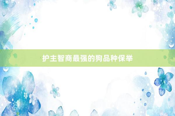 护主智商最强的狗品种保举